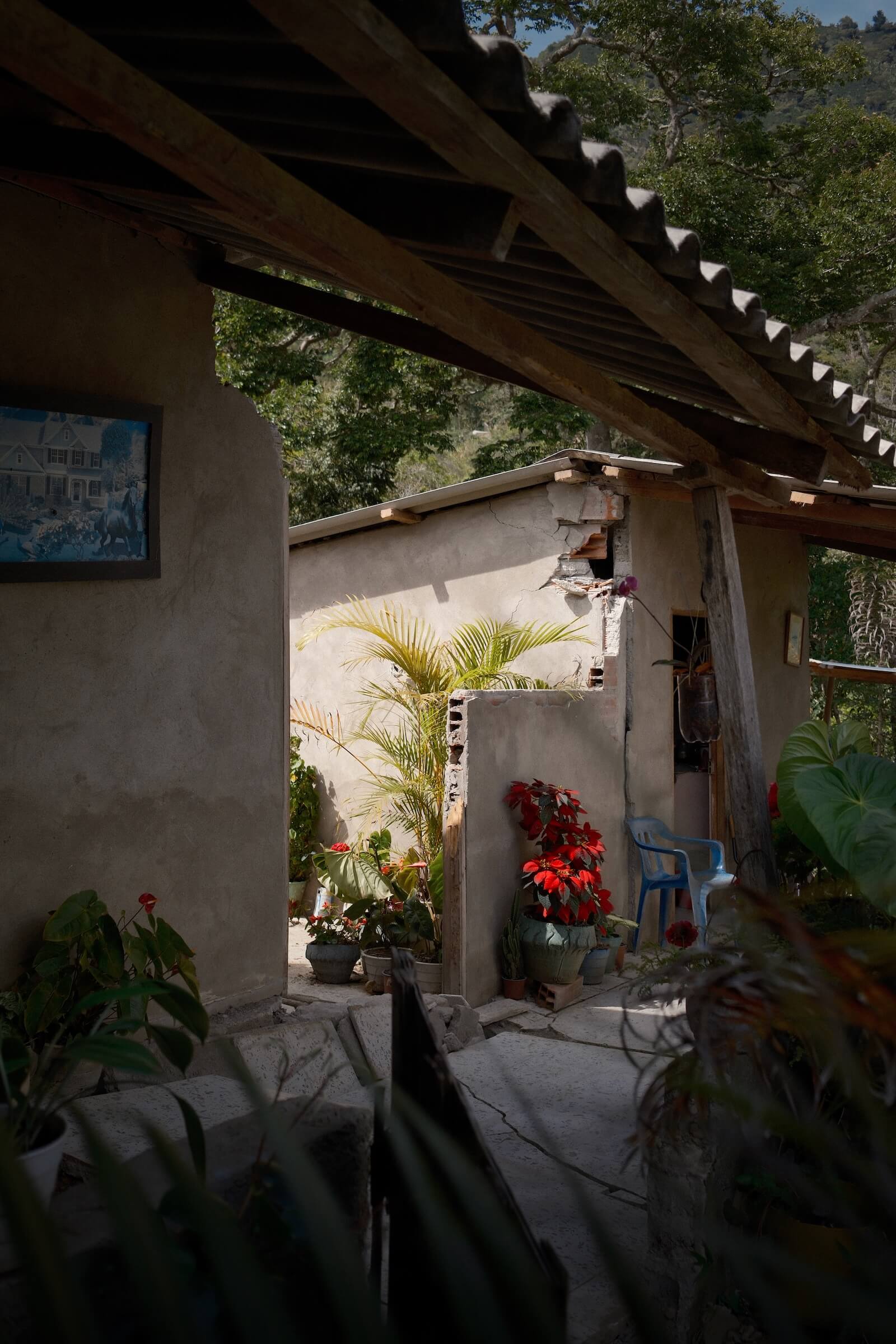Latin America Colombia Coffee Fincas Farms by Philippe Girard