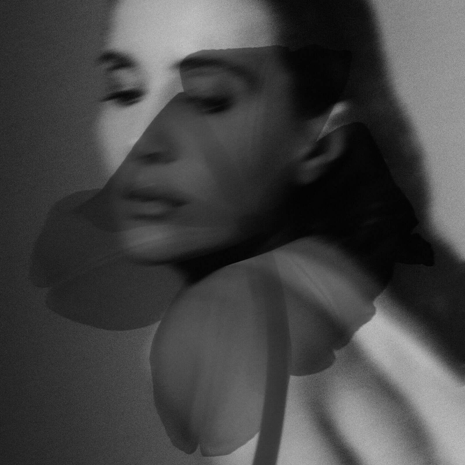 Philippe Girard Fine Art Photographic Symbiosis