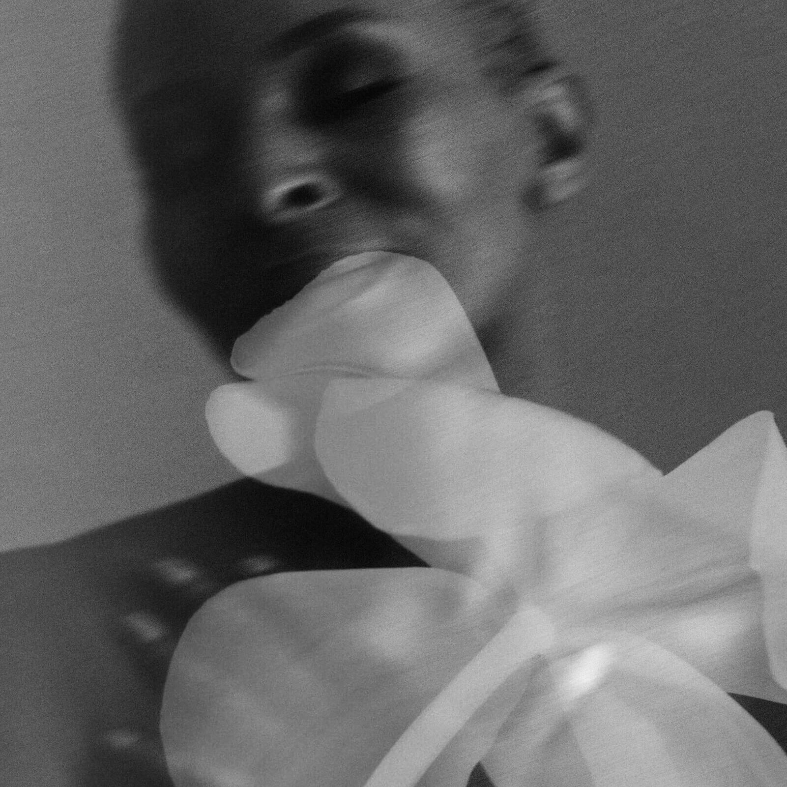 Philippe Girard Fine Art Photographic Symbiosis
