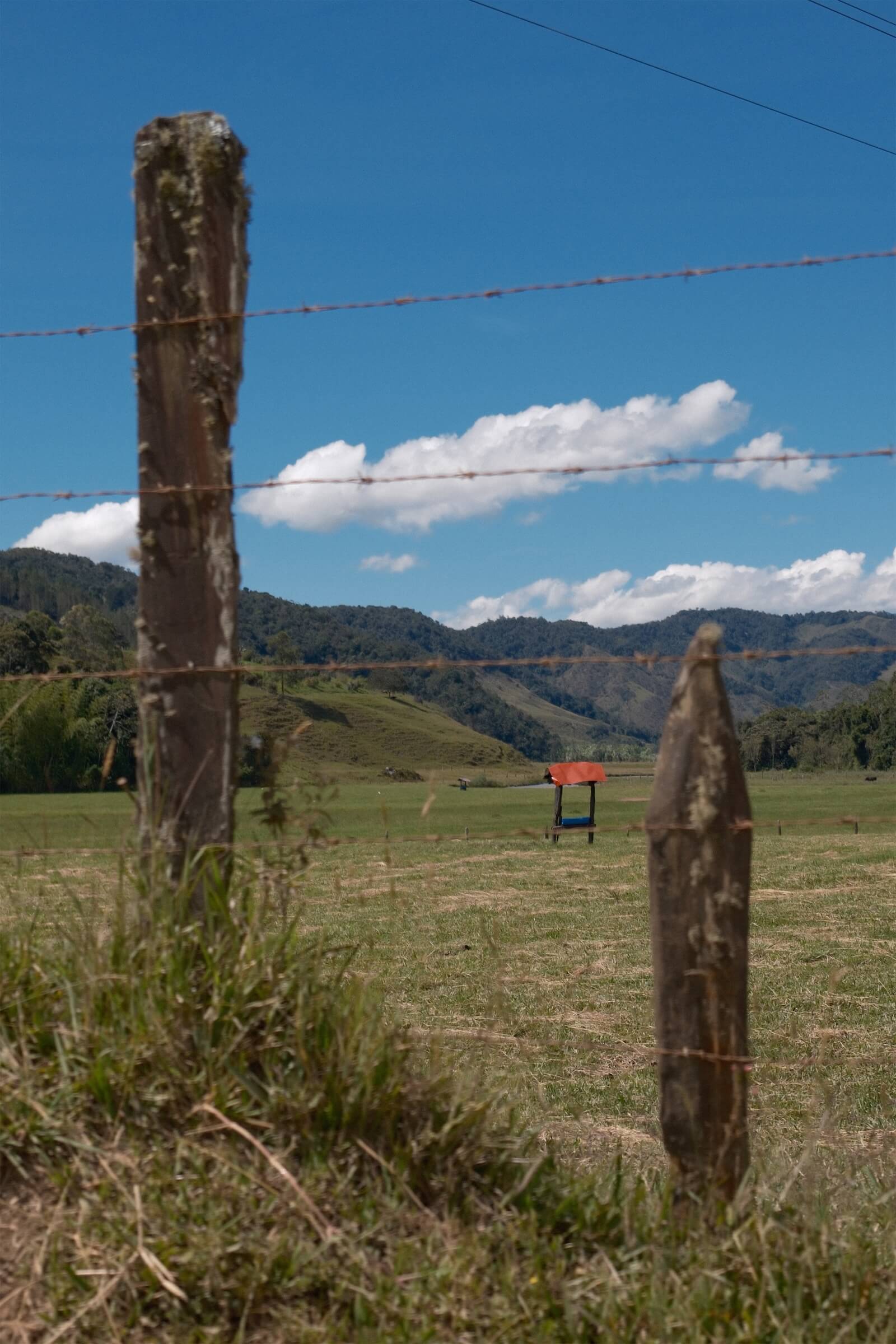 Latin America Colombia Coffee Fincas Farms by Philippe Girard