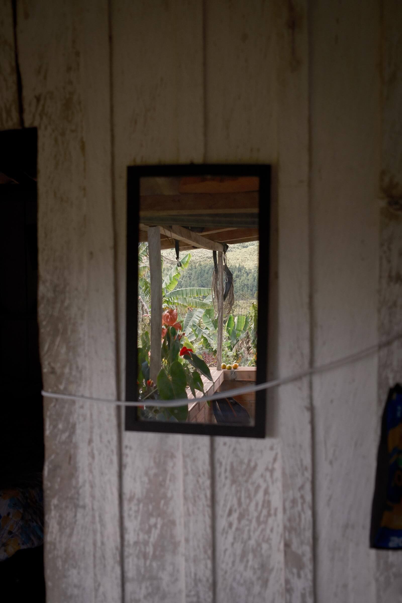 Latin America Colombia Coffee Fincas Farms by Philippe Girard